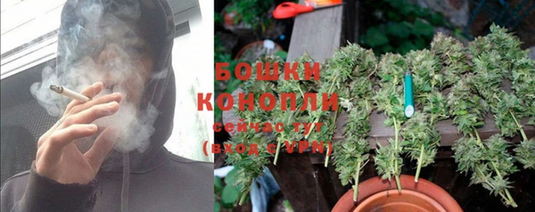 крисы Краснотурьинск