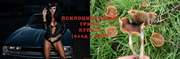 прущий лед Красноперекопск