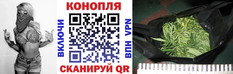 Шишки марихуана тримм Весьегонск